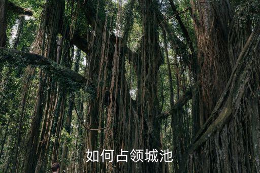 手游征服者时代怎么占领城市，如何占领城池