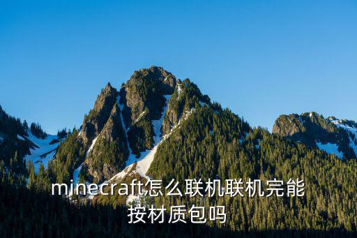minecraft怎么联机联机完能按材质包吗