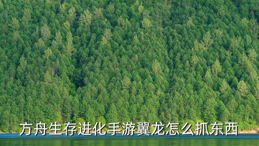 方舟生存进化手游翼龙怎么抓东西