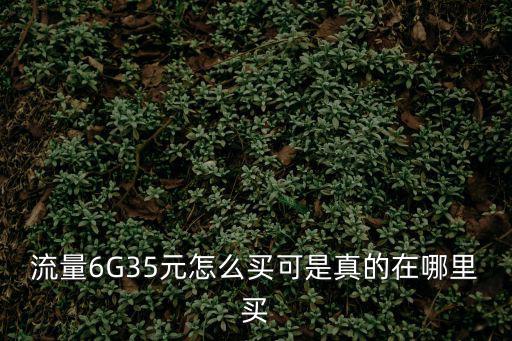 流量6G35元怎么买可是真的在哪里买