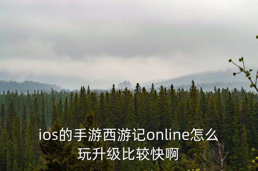 抖音上的西游记手游怎么玩，ios的手游西游记online怎么玩升级比较快啊