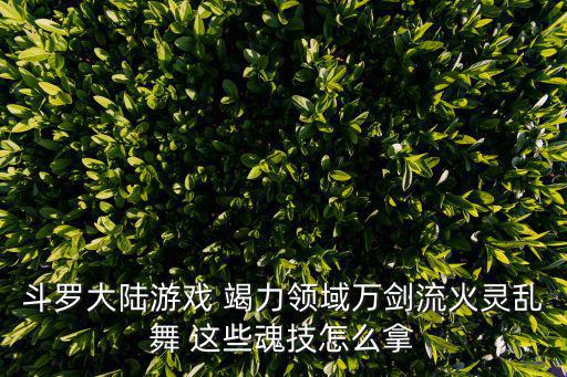 斗罗大陆手游混沌火灵怎么打，求石器时代 火灵勇士打法