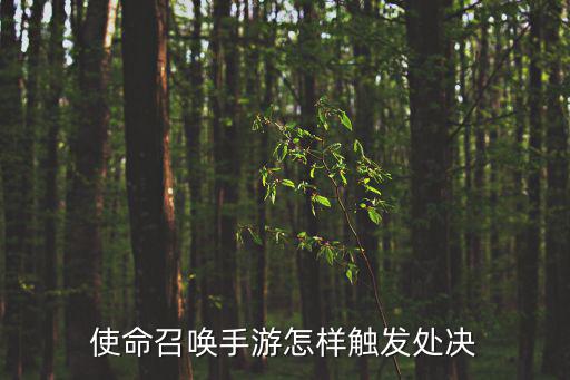 使命召唤手游怎样触发处决