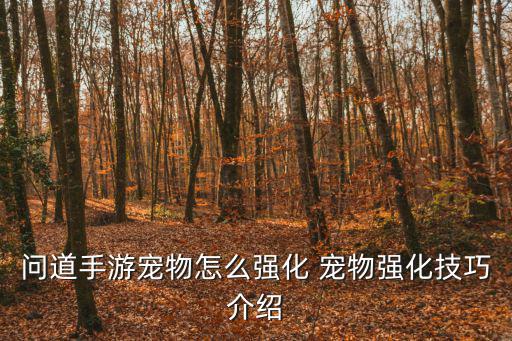 问道手游怎么养成宠物装备，问道宠物养成详解新人刚玩
