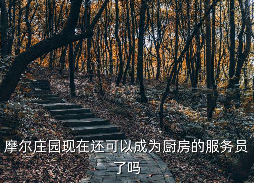 摩尔庄园现在还可以成为厨房的服务员了吗
