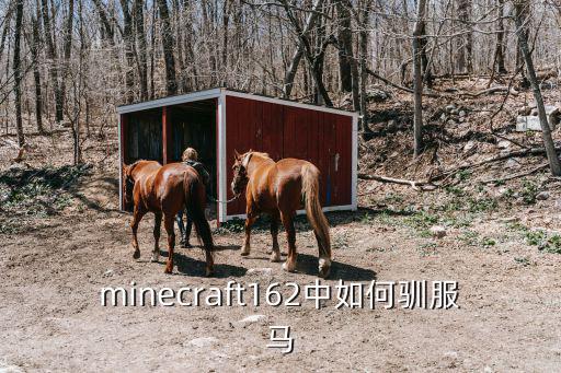minecraft162中如何驯服马