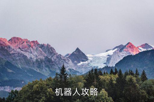 机器人攻略
