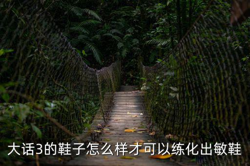 大话3的鞋子怎么样才可以练化出敏鞋