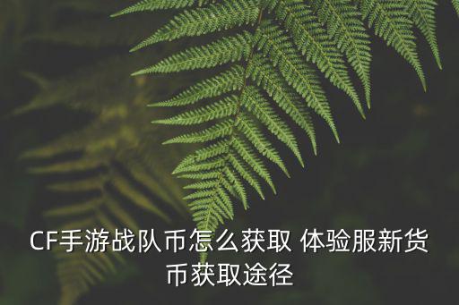 CF手游战队币怎么获取 体验服新货币获取途径