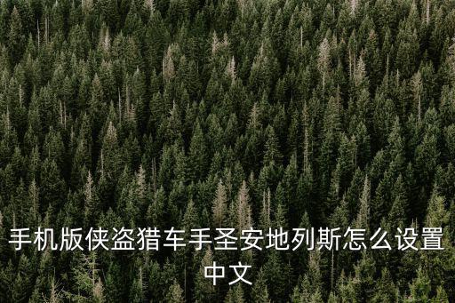 手游圣安德地列斯怎么调中文，手机版侠盗猎车手圣安地列斯怎么设置中文