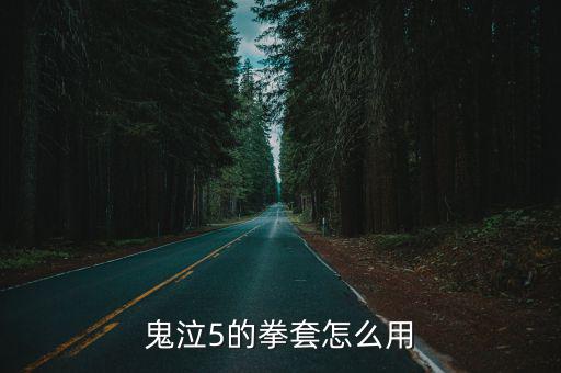 鬼泣5的拳套怎么用