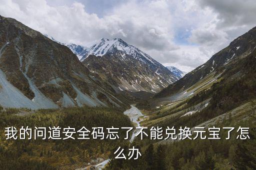 我的问道安全码忘了不能兑换元宝了怎么办