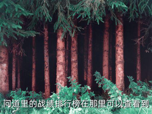 问道里的战绩排行榜在那里可以查看到