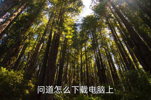 问道怎么下载电脑上