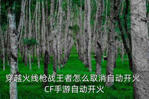 穿越火线枪战王者怎么取消自动开火 CF手游自动开火