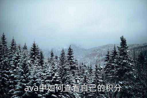 ava中如何查看自己的积分