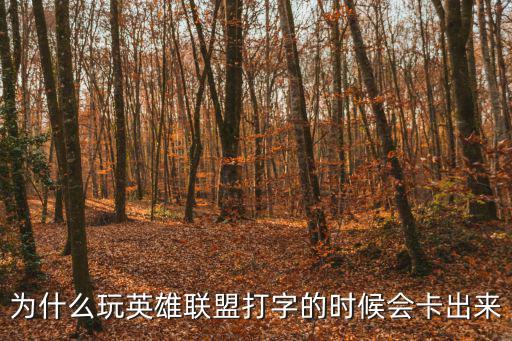 为什么玩英雄联盟打字的时候会卡出来