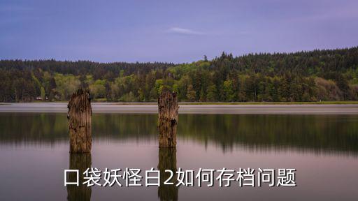 口袋妖怪白2如何存档问题