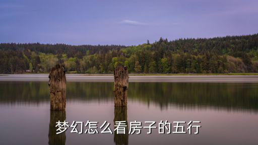 梦幻怎么看房子的五行