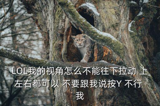 LOL我的视角怎么不能往下拉动 上左右都可以 不要跟我说按Y 不行 我