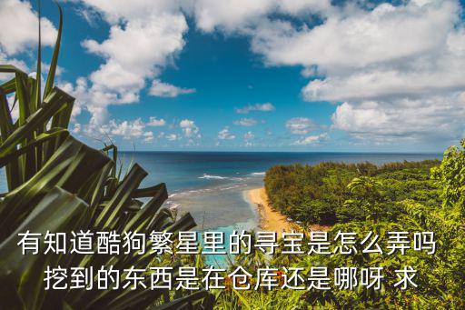 有知道酷狗繁星里的寻宝是怎么弄吗 挖到的东西是在仓库还是哪呀 求