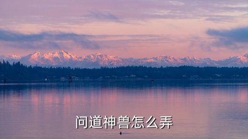 问道手游封印神兽怎么做，问道神兽怎么弄
