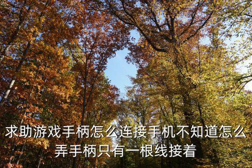 求助游戏手柄怎么连接手机不知道怎么弄手柄只有一根线接着