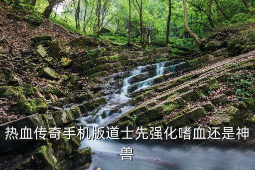 热血传奇手机版道士先强化嗜血还是神兽