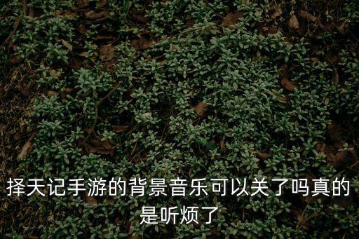 择天记手游的背景音乐可以关了吗真的是听烦了