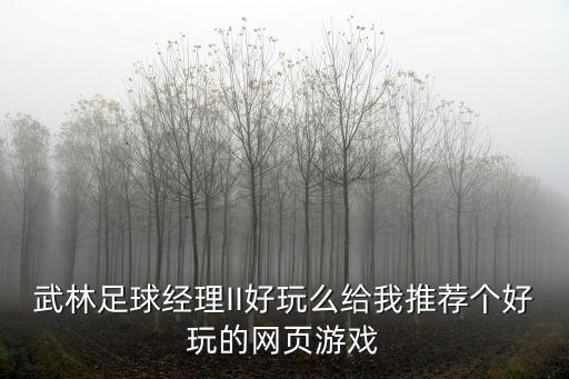 武林足球经理II好玩么给我推荐个好玩的网页游戏