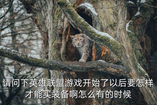 请问下英雄联盟游戏开始了以后要怎样才能买装备啊怎么有的时候