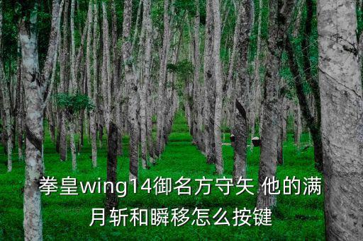 拳皇wing14御名方守矢 他的满月斩和瞬移怎么按键