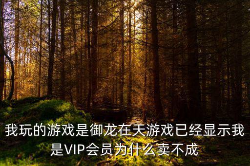 我玩的游戏是御龙在天游戏已经显示我是VIP会员为什么卖不成