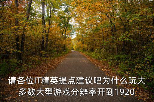 请各位IT精英提点建议吧为什么玩大多数大型游戏分辨率开到1920