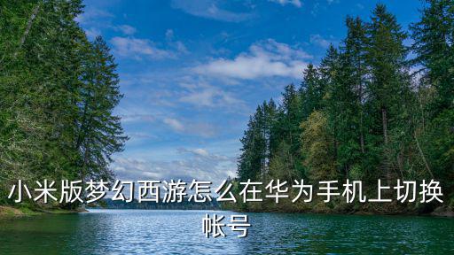 小米版梦幻西游怎么在华为手机上切换帐号