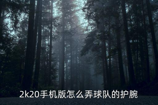 2k20手游获得的球衣怎么查看，NBA2K永久球衣怎么获得