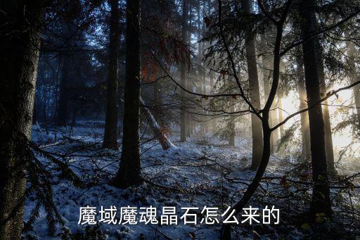 魔域魔魂晶石怎么来的