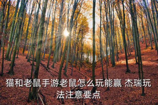 猫和老鼠手游杰瑞鼠怎么加点，猫和老鼠手游老鼠怎么玩能赢 杰瑞玩法注意要点