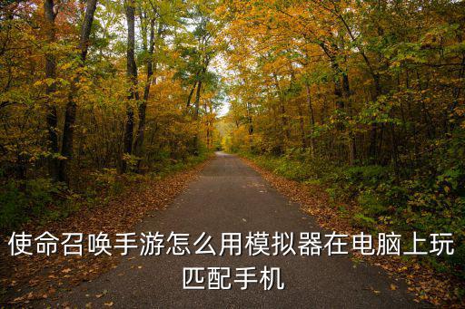 使命召唤手游模拟器怎么疾跑，游戏使命召唤6现代战争2中如何疾跑