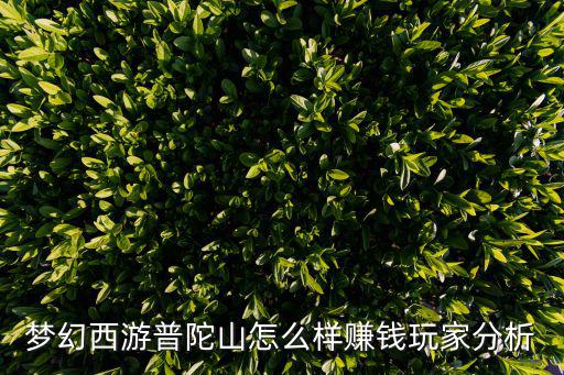 梦幻西游普陀山怎么样赚钱玩家分析