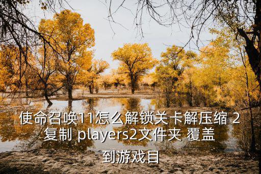使命召唤11怎么解锁关卡解压缩 2复制 players2文件夹 覆盖到游戏目