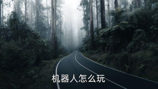 机器人怎么玩