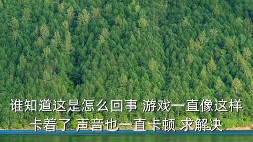 谁知道这是怎么回事 游戏一直像这样卡着了 声音也一直卡顿 求解决