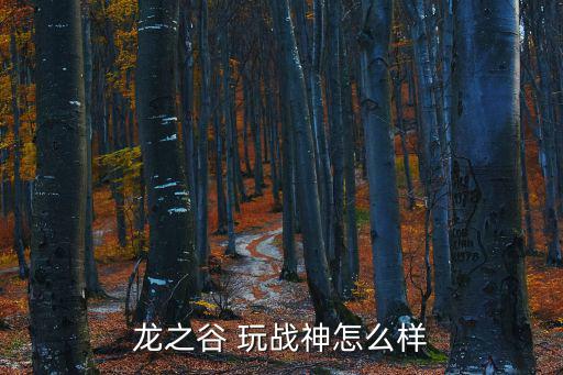 龙之谷 玩战神怎么样