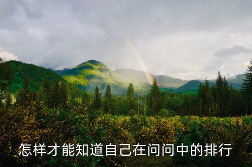 怎样才能知道自己在问问中的排行