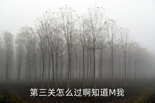 第三关怎么过啊知道M我