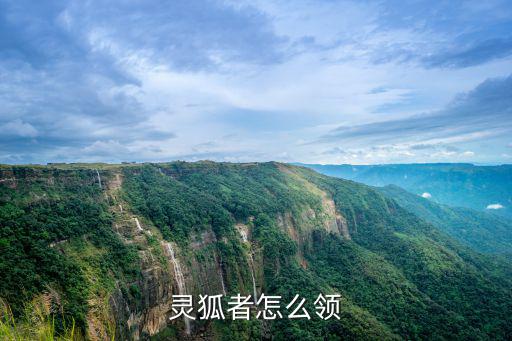 灵狐者怎么领