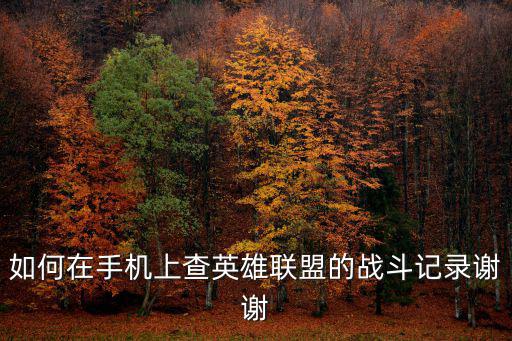 如何在手机上查英雄联盟的战斗记录谢谢