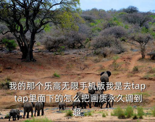 我的那个乐高无限手机版我是去tap tap里面下的怎么把画质永久调到超