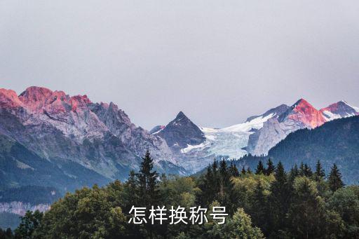 怎样换称号